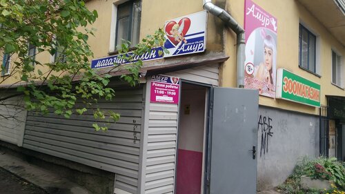 Қыздардың кискаларына қарап