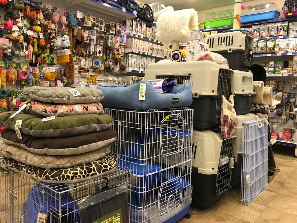 Кот И Пес Зоомагазин Интернет Магазин Москва