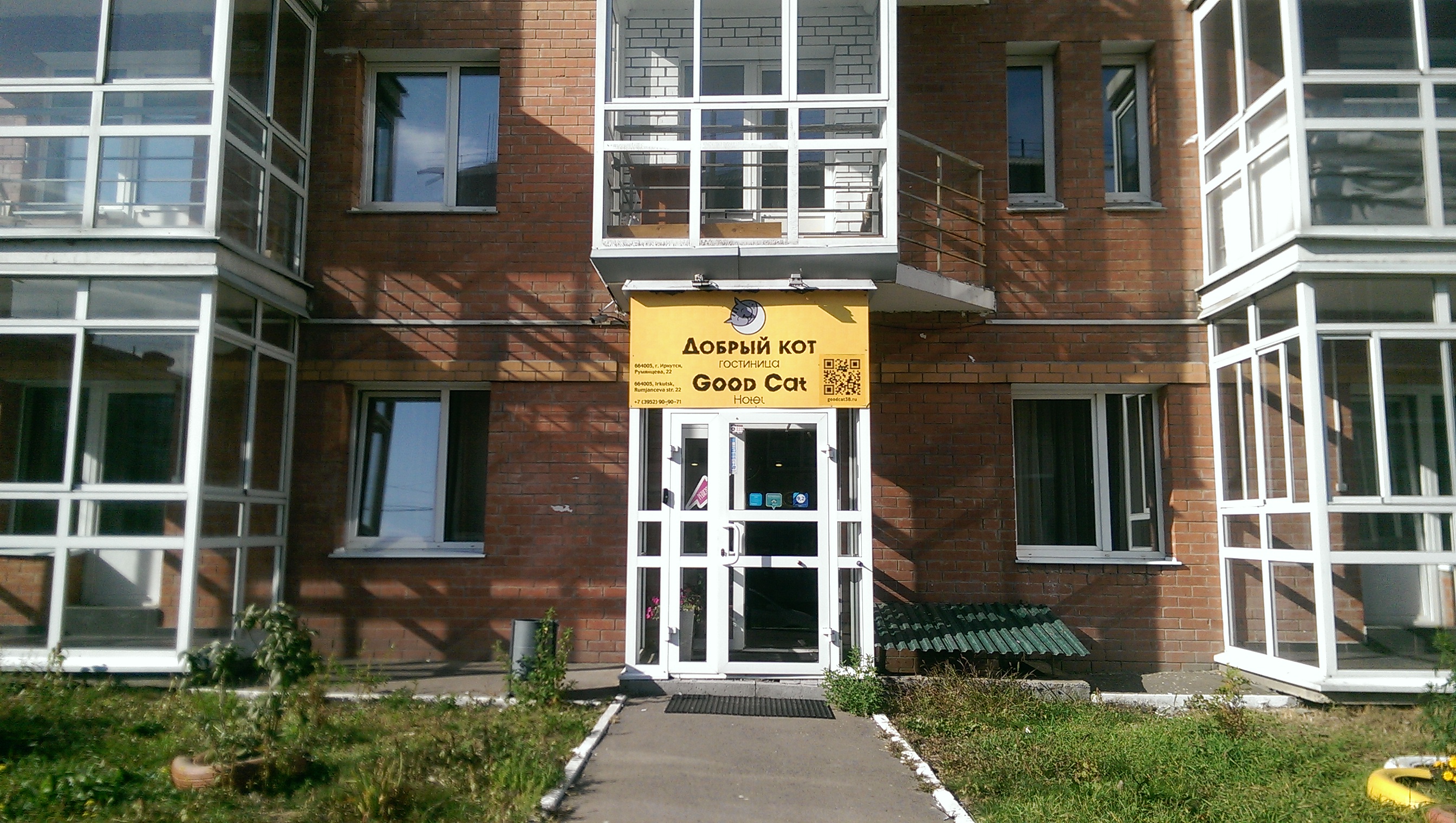 Фото Добрый Кот