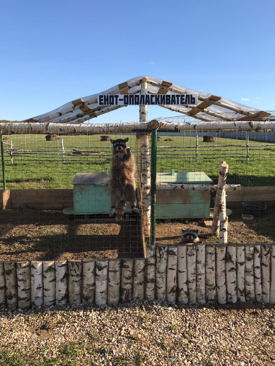 Фото Экоферма Александровский спас