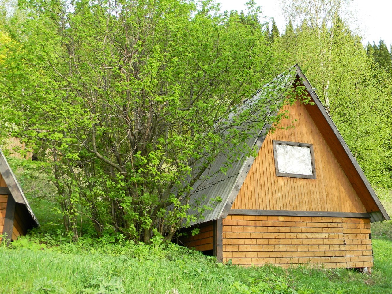 Фото База отдыха Калинино