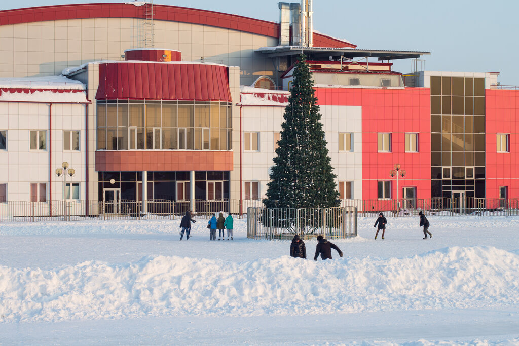 Sports center МАУ Ишимский городской спортивно-оздоровительный комплекс Локомотив, Ishim, photo