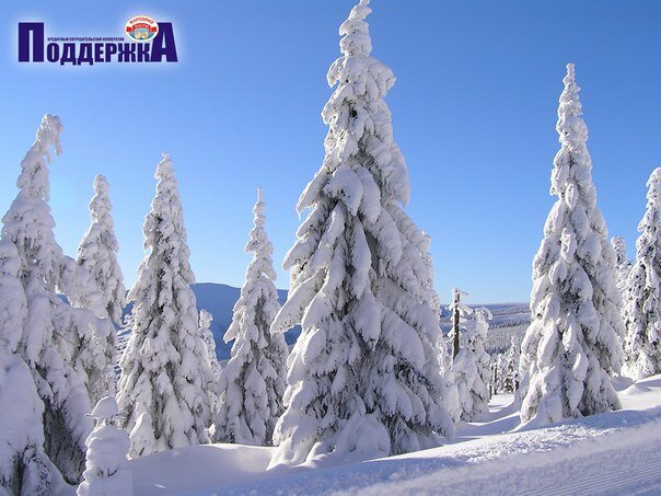 مؤسسات التمويل الصغرى Kreditny potrebitelsky kooperativ Podderzhka ، ، صورة