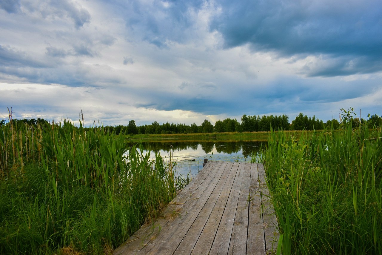 Фото Некрасовская дача