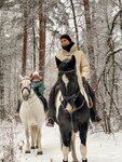 Лошади Дзержинский (Дзержинский, Лесная ул., 37), конный клуб в Дзержинском