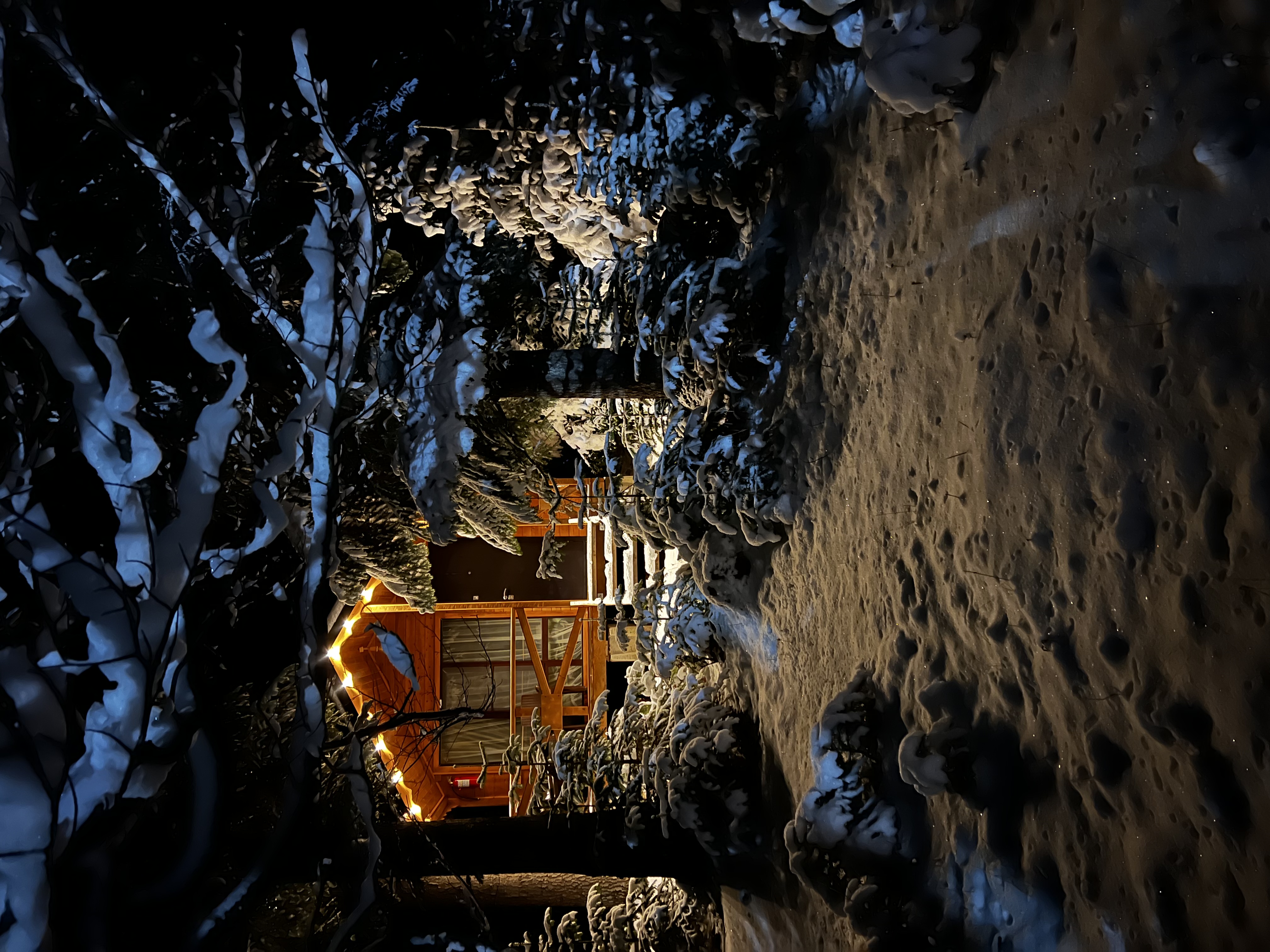 Фото Forest House Resort