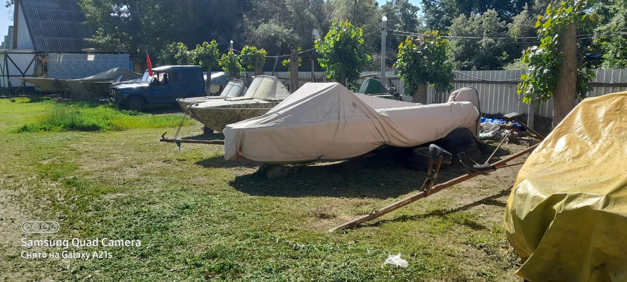 Фото Камышовый рай