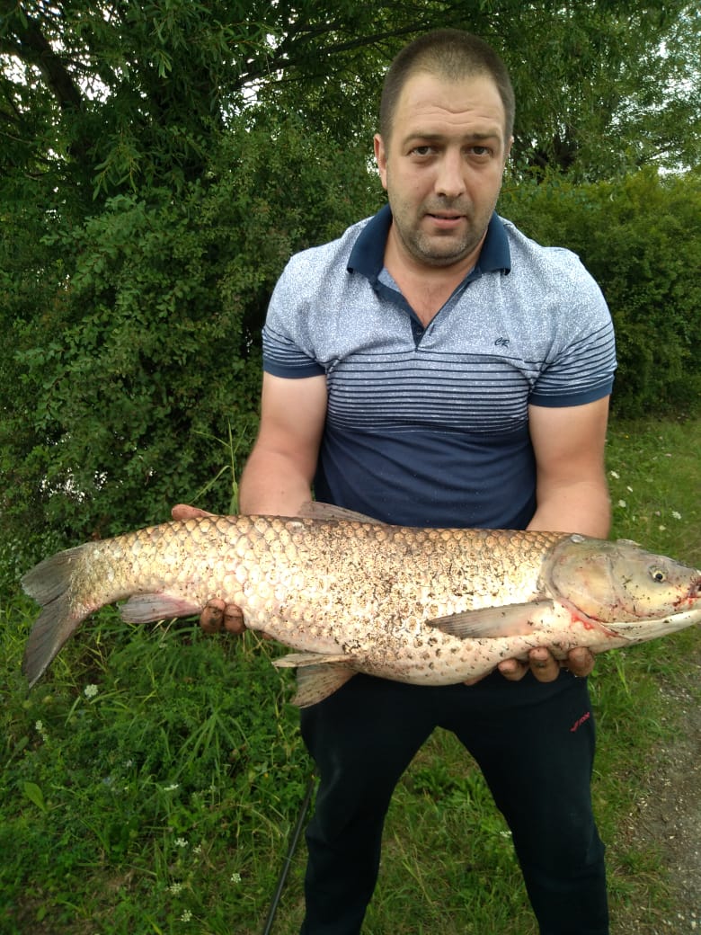 Фото Лагуна