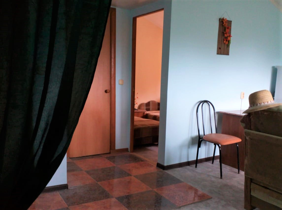 Фото Пальма