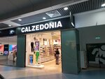 Calzedonia (ulitsa Truda No:203), çorap ve külotlu çorap mağazaları  Çeliabinsk'ten