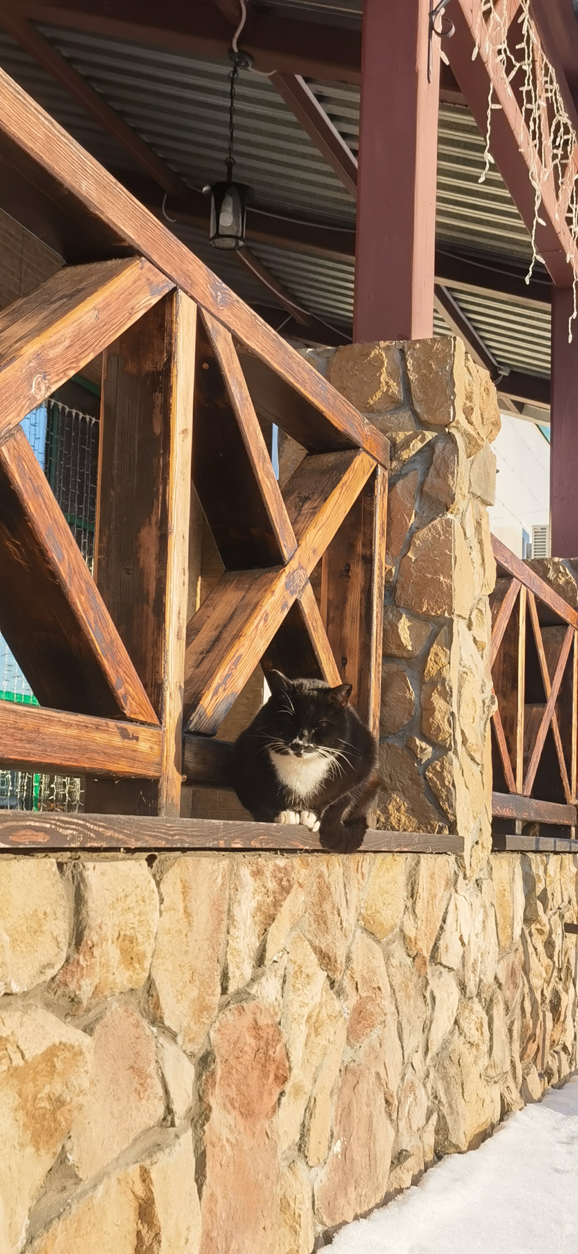 Фото Пастораль