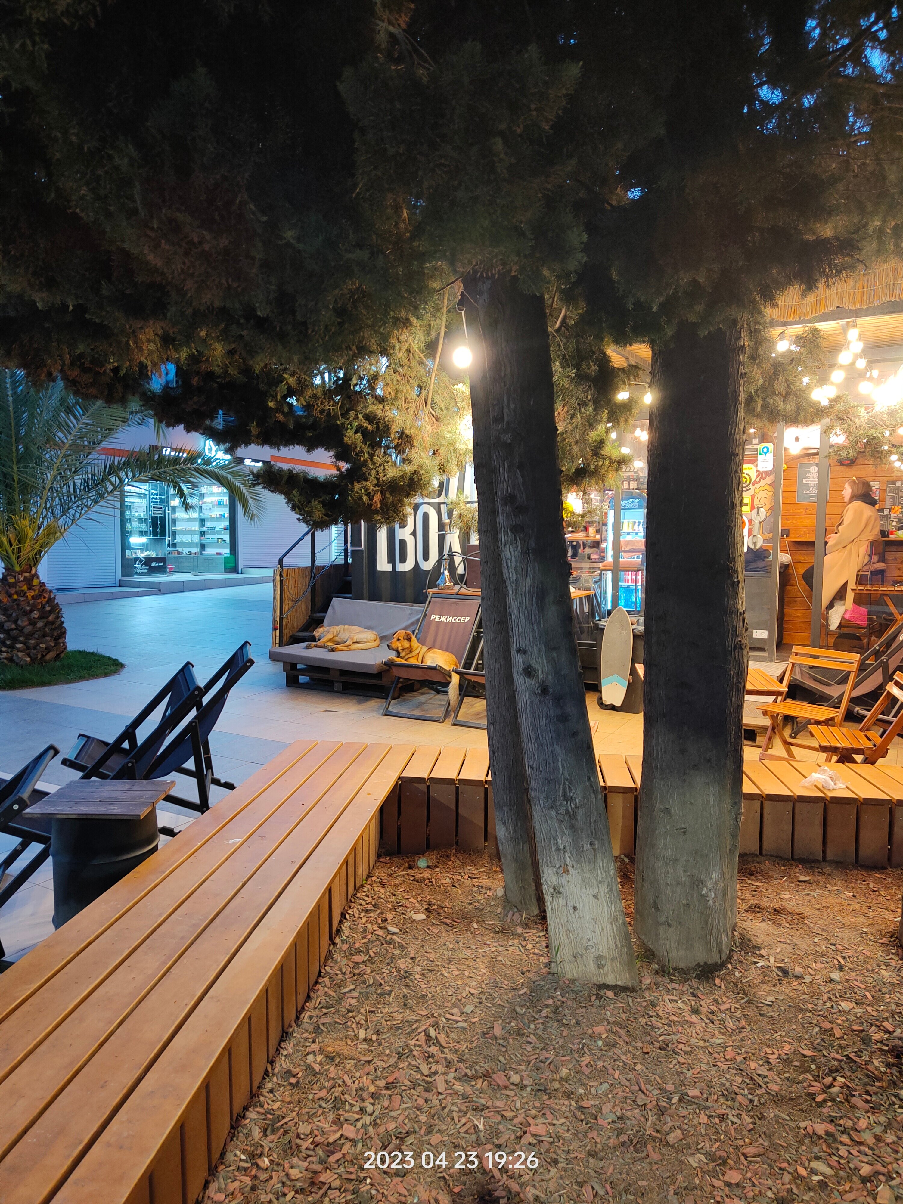 Фото На высоте!