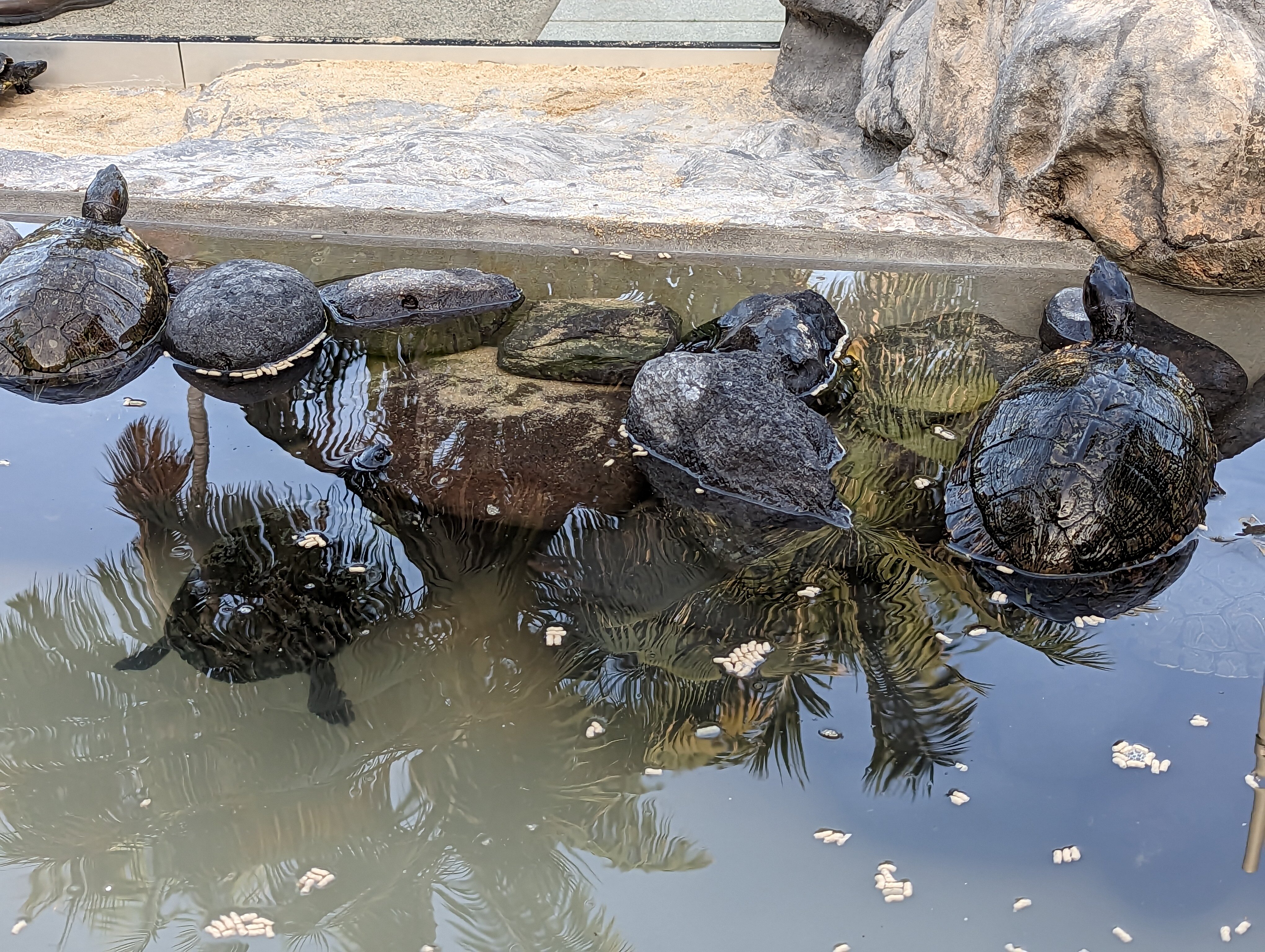 Фото Iberostar Heritage Grand Mencey