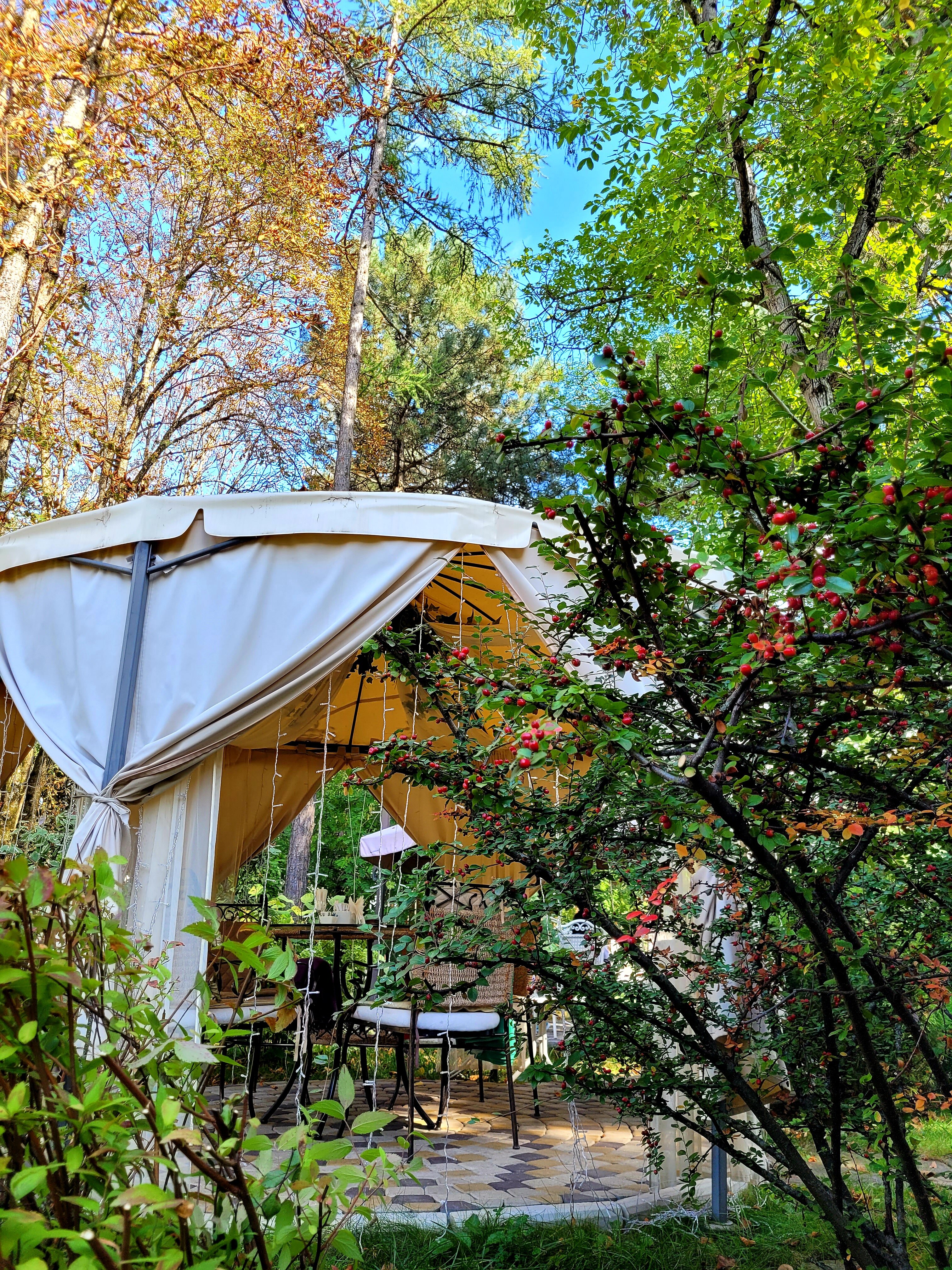 Фото Гранд Кавказ