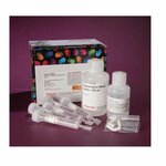 Laboshop (3/2, 10A Street, Al Qusais Ind. Second, Deira, Dubai), medical goods and consumables
