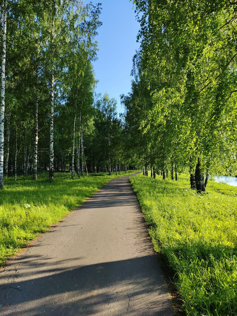 Парк культуры и отдыха Берёзовый парк, Вологодская область, фото