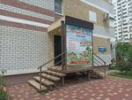Важные люди (Prikubanskiy City administrative district, mikrorayon Moskovskiy, ulitsa im. Baybakova N.K., 21), children's developmental center