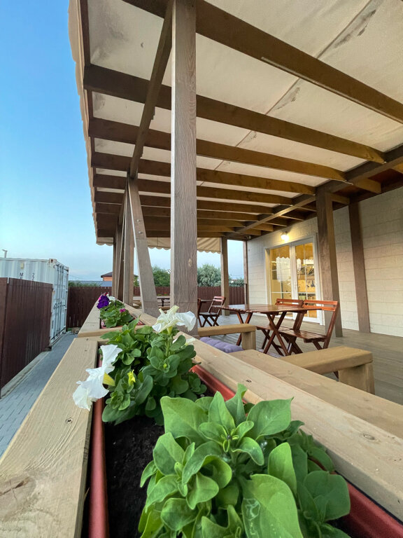 Фото Белый Лотос