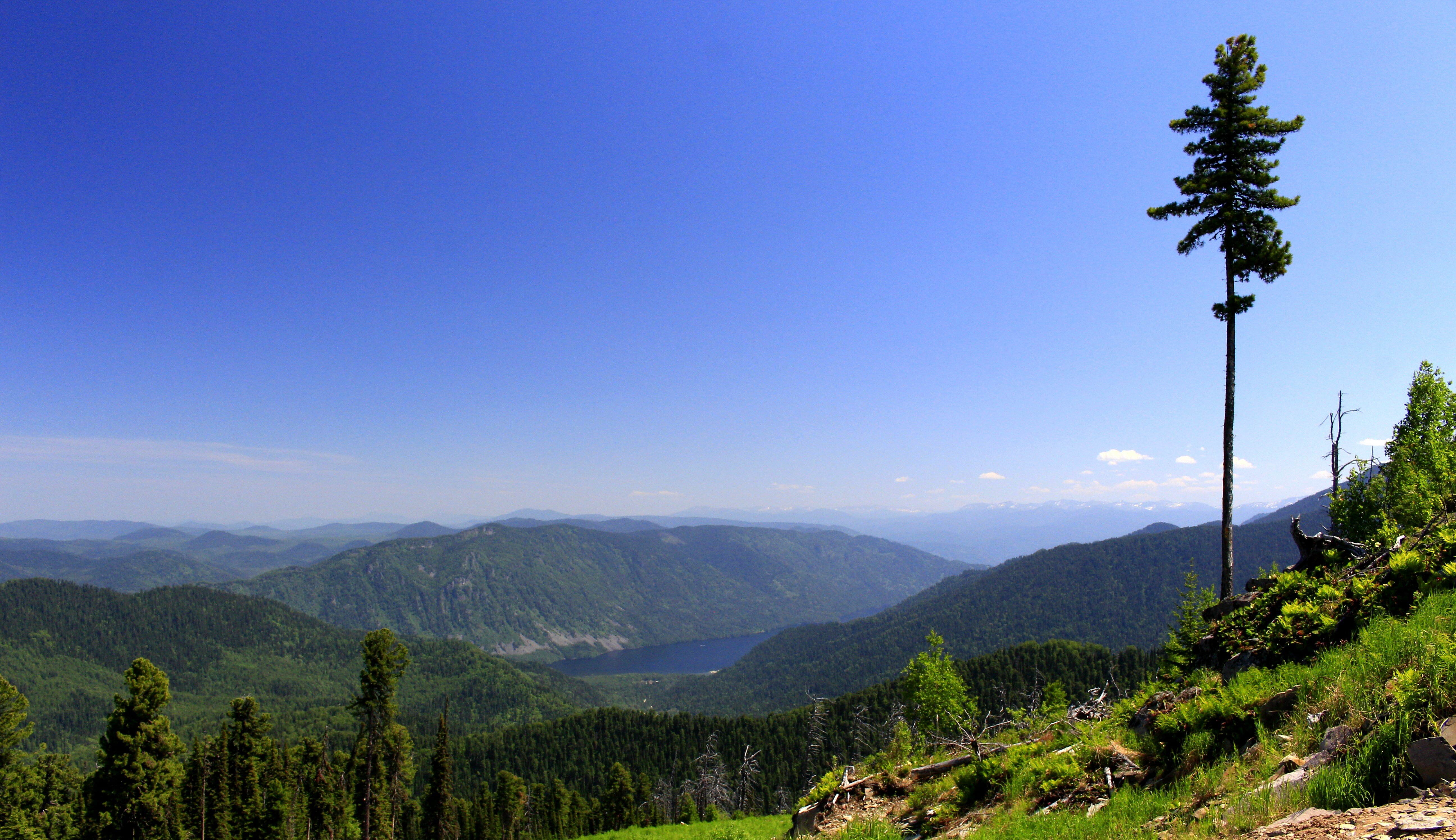 Фото Лагуна