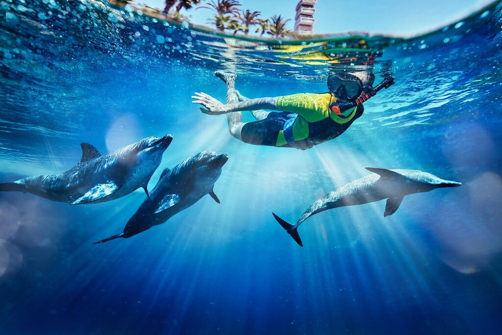 Dolphinarium Dolphin Bay, Dubai, photo
