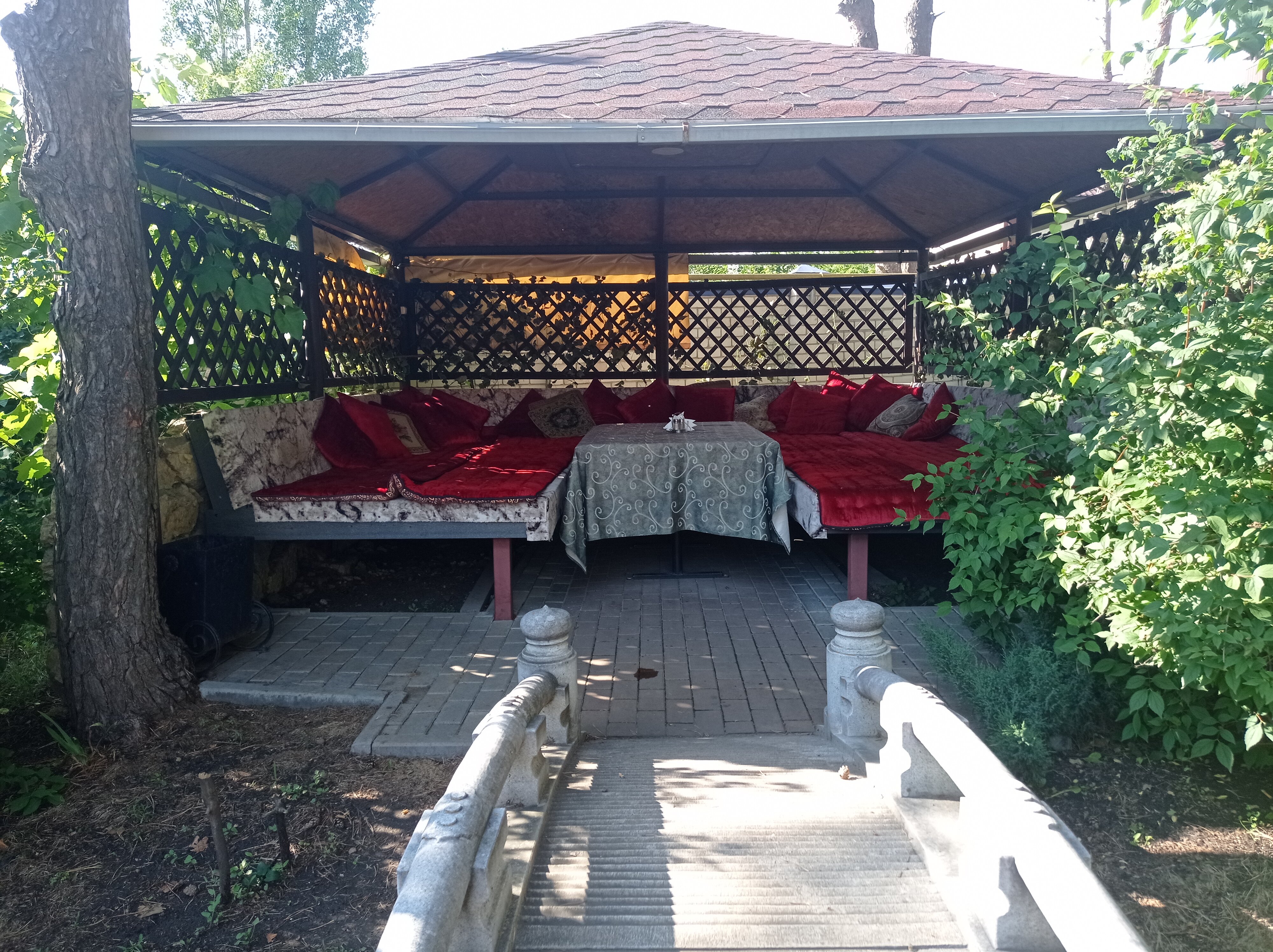 Фото Санлайт