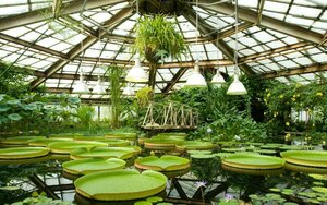 Botanical Garden of Peter the Great (Saint Petersburg, Professora Popova Street, 2П), museum