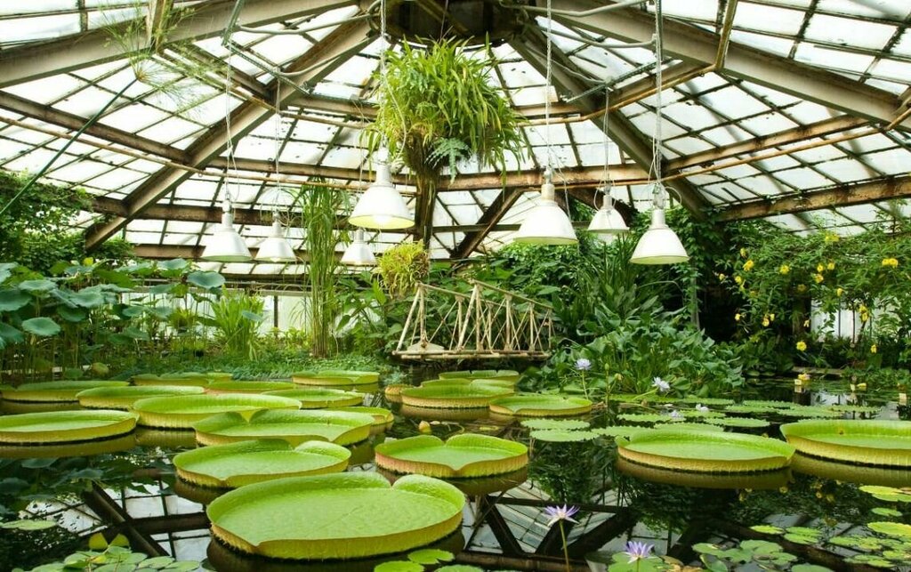 Музей Ботанический сад Петра Великого, Санкт‑Петербург, фото