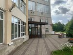 Okonka (Piskaryovskiy Avenue, 25) ، شبابيك