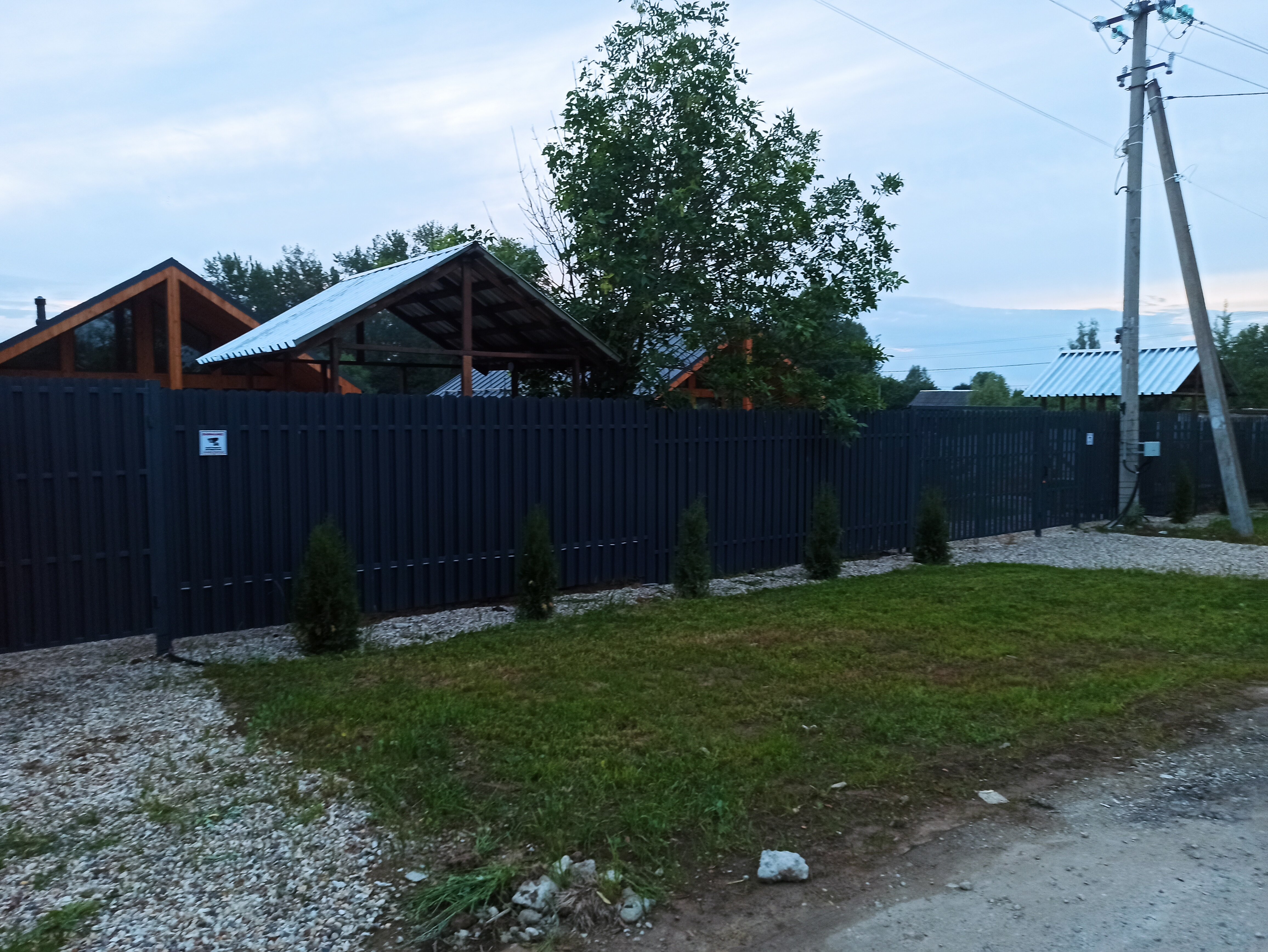 Фото Мандарин