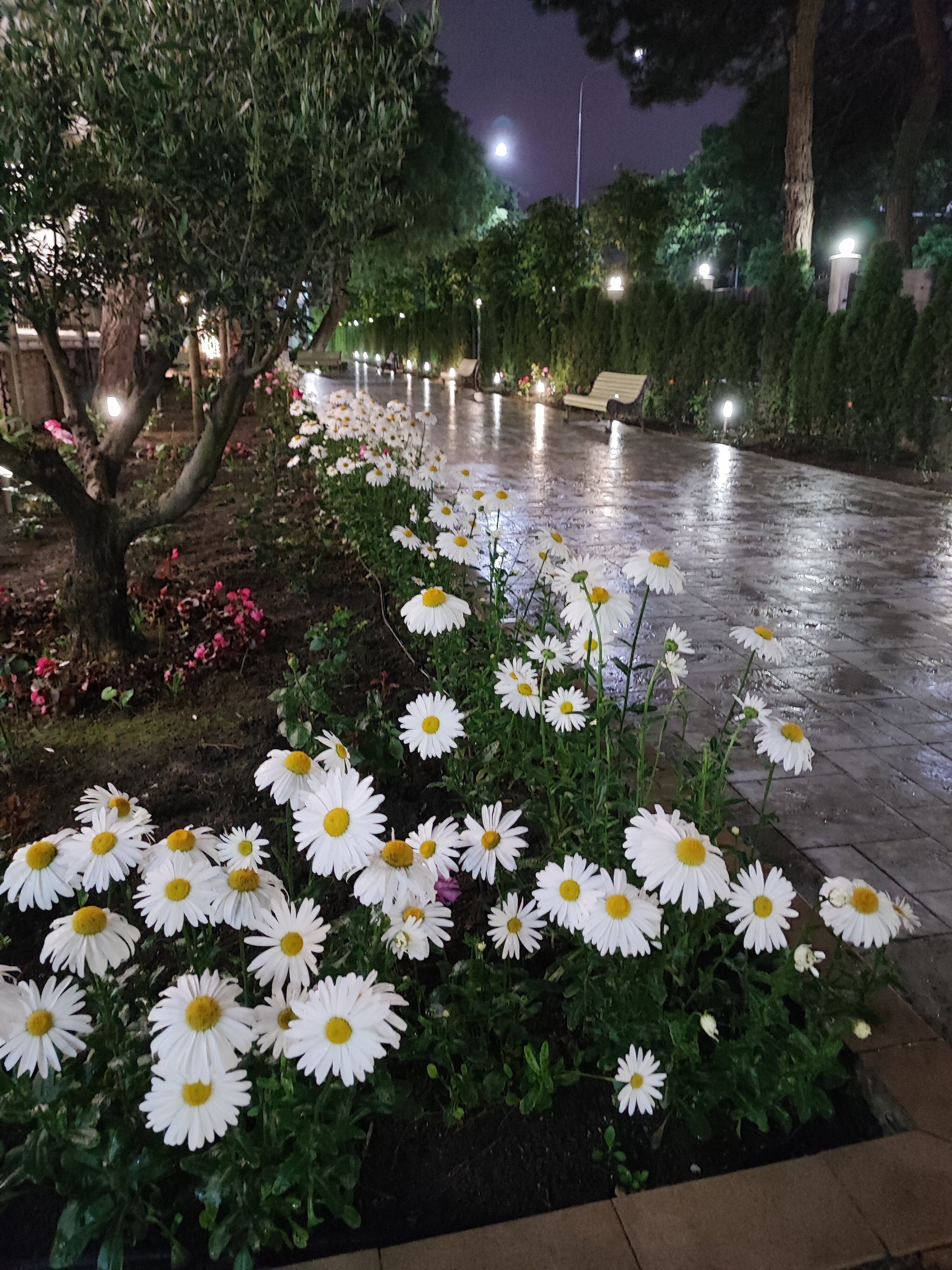 Фото Красная Талка 2