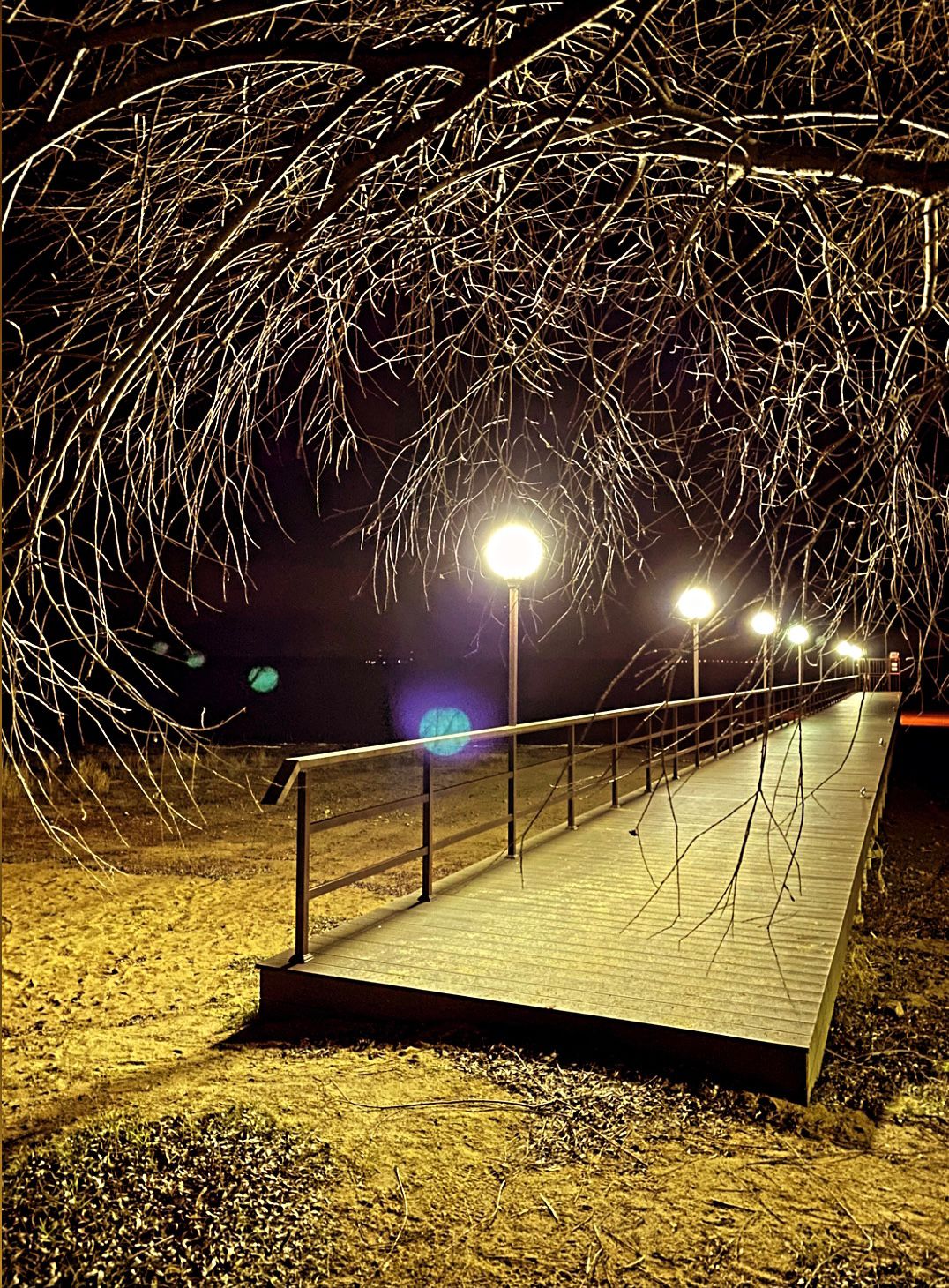 Фото Shagal Chalet