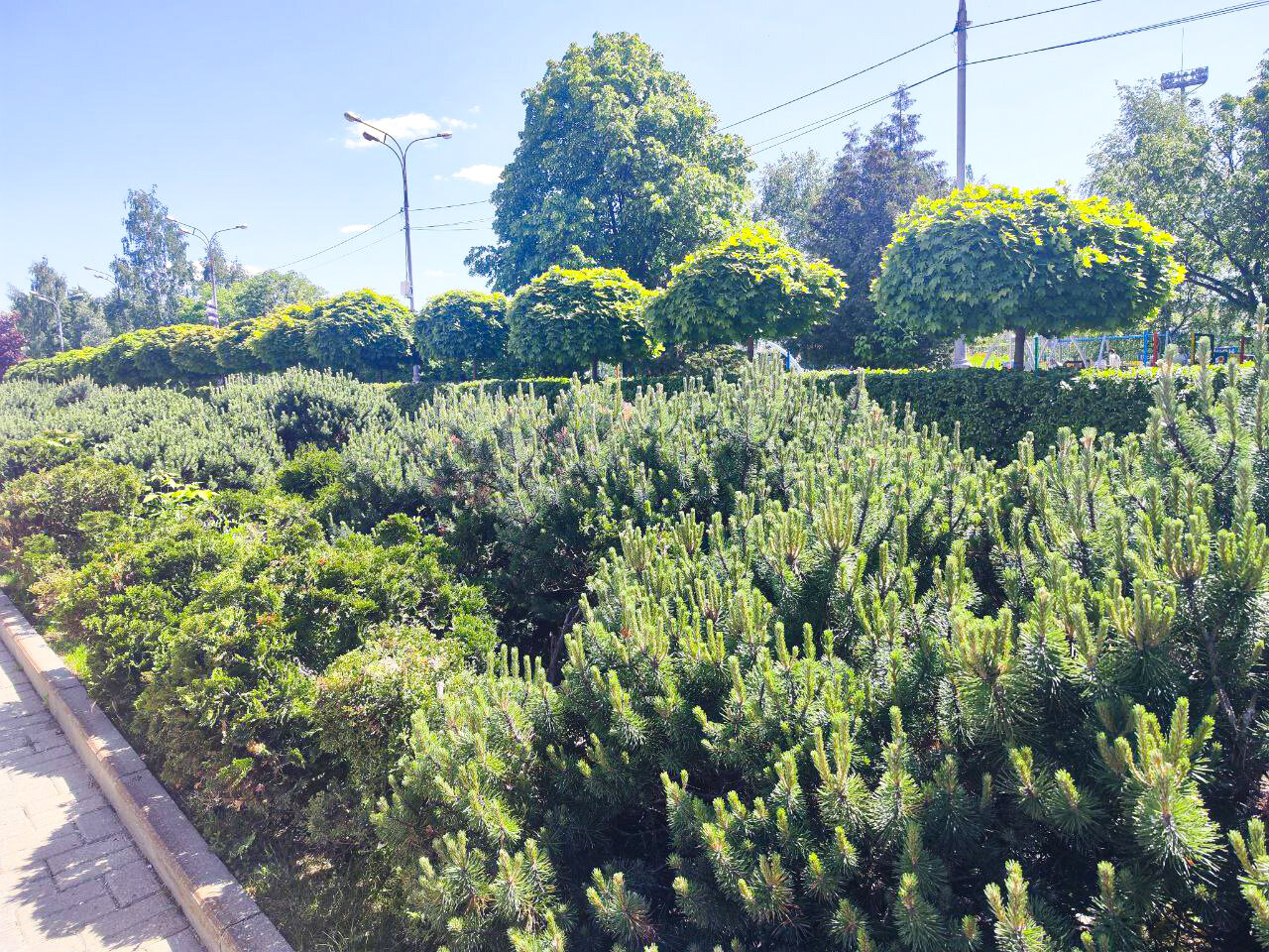 Фото Гостиница Волейбольного центра Одинцово