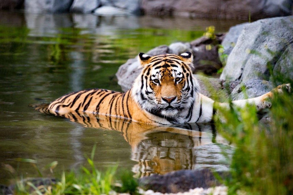 Фото Holiday Inn Winnipeg-South by ihg