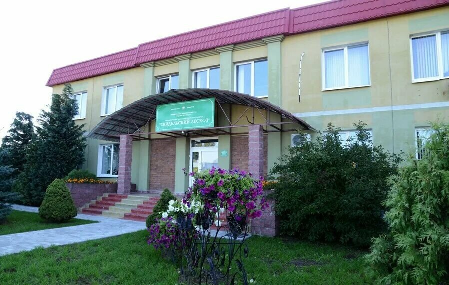 الغابات Skidelskoye Lesnichestvo GLKhU Skidelsky leskhoz ، ، صورة