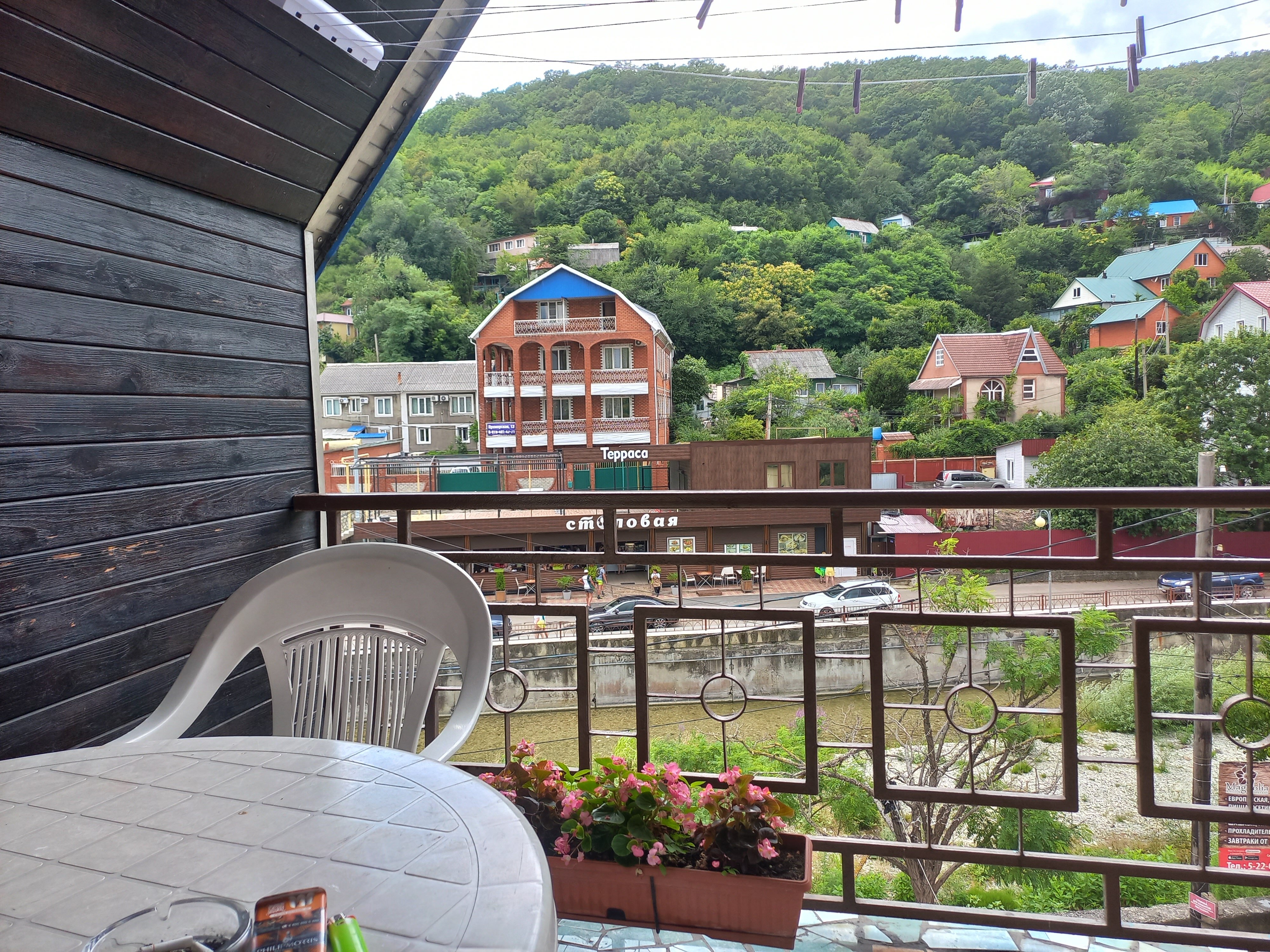 Фото Магнолия