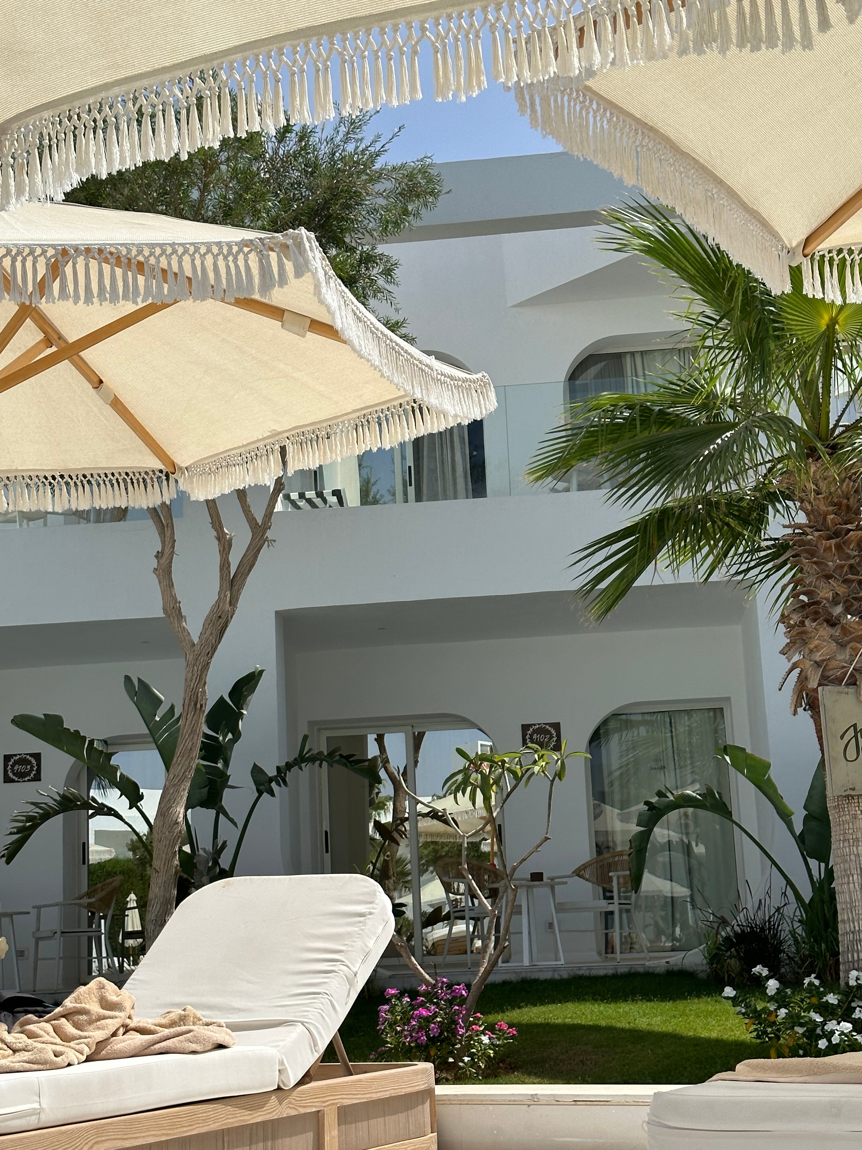 Фото White Hills Resort