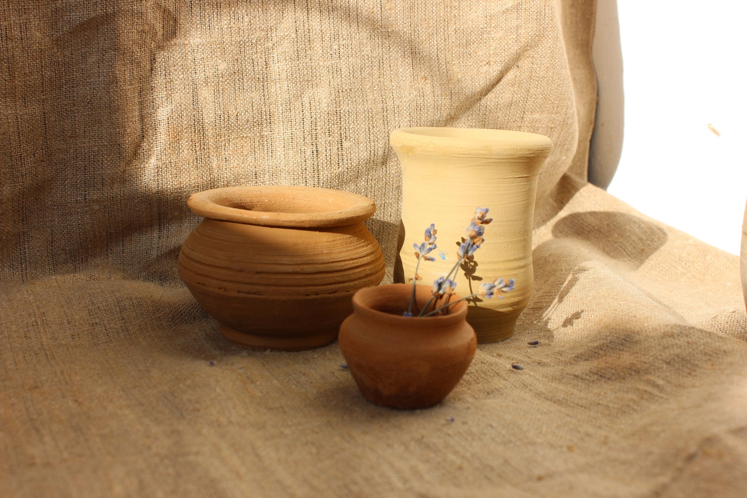 Фото Солнышко