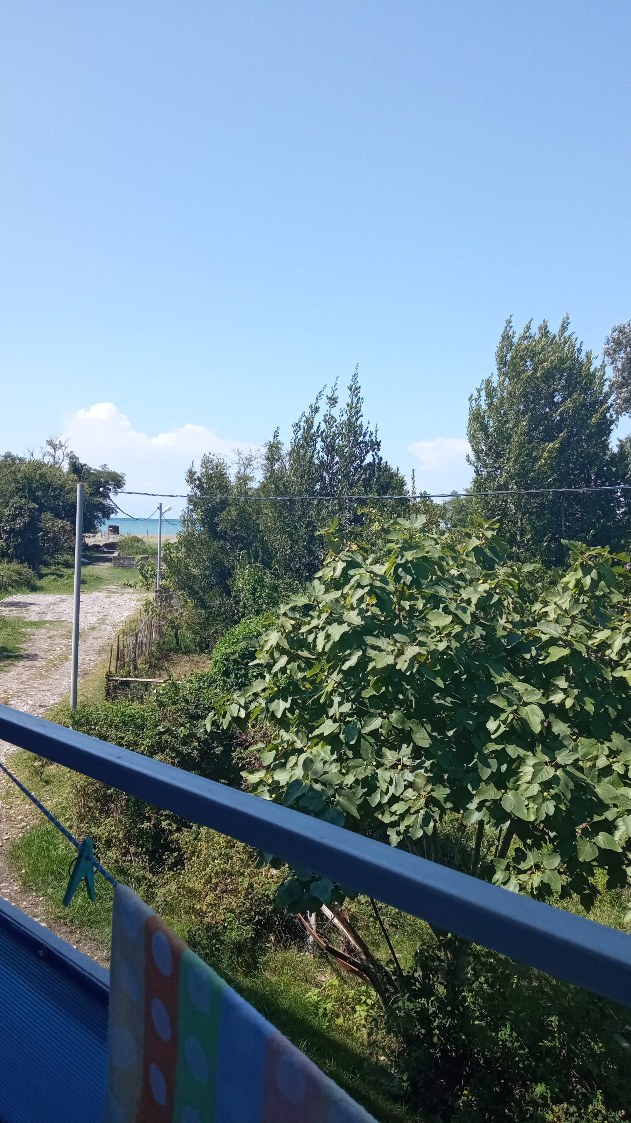 Фото Айсберг