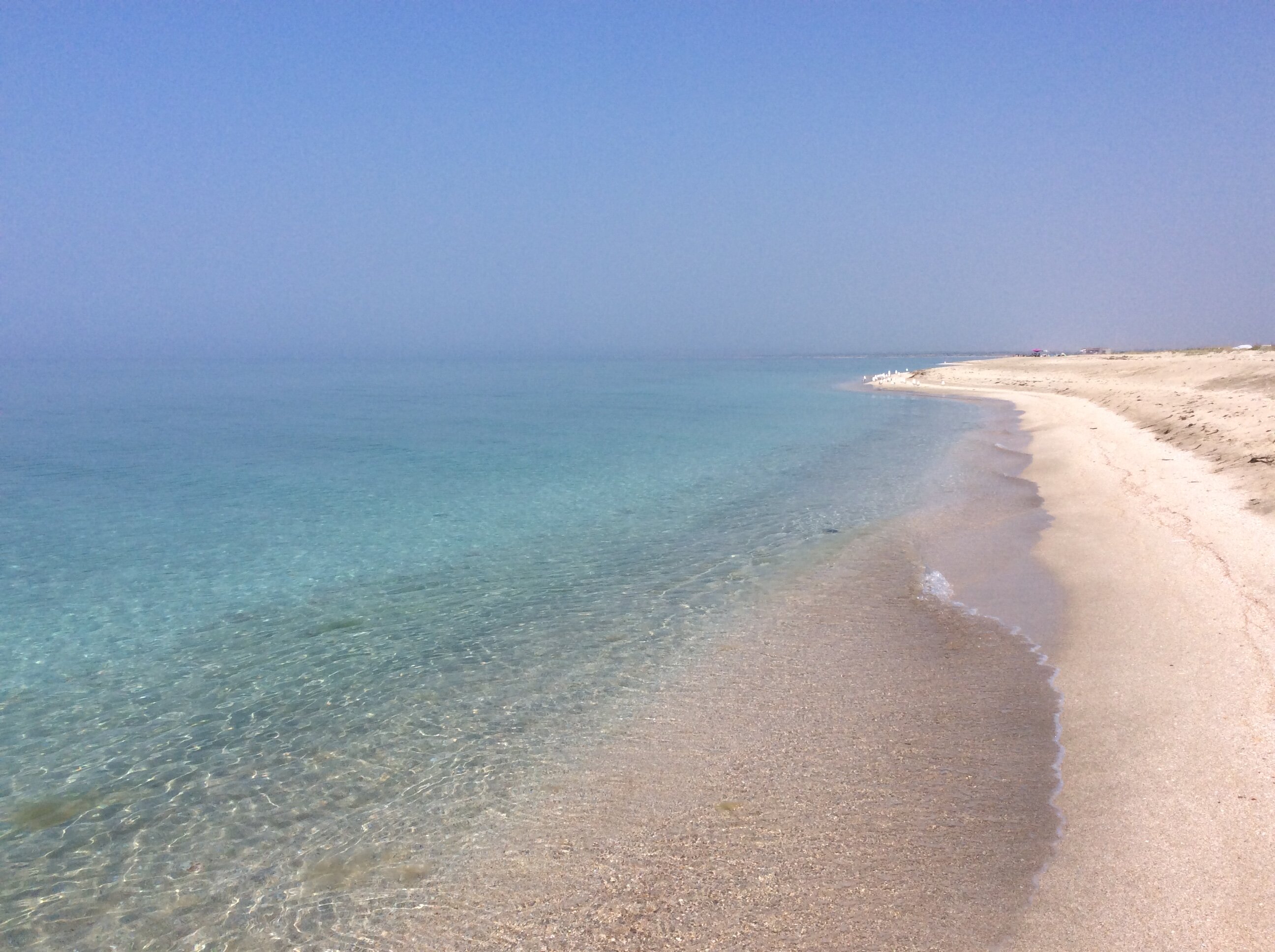 Фото Ранчо Беляус