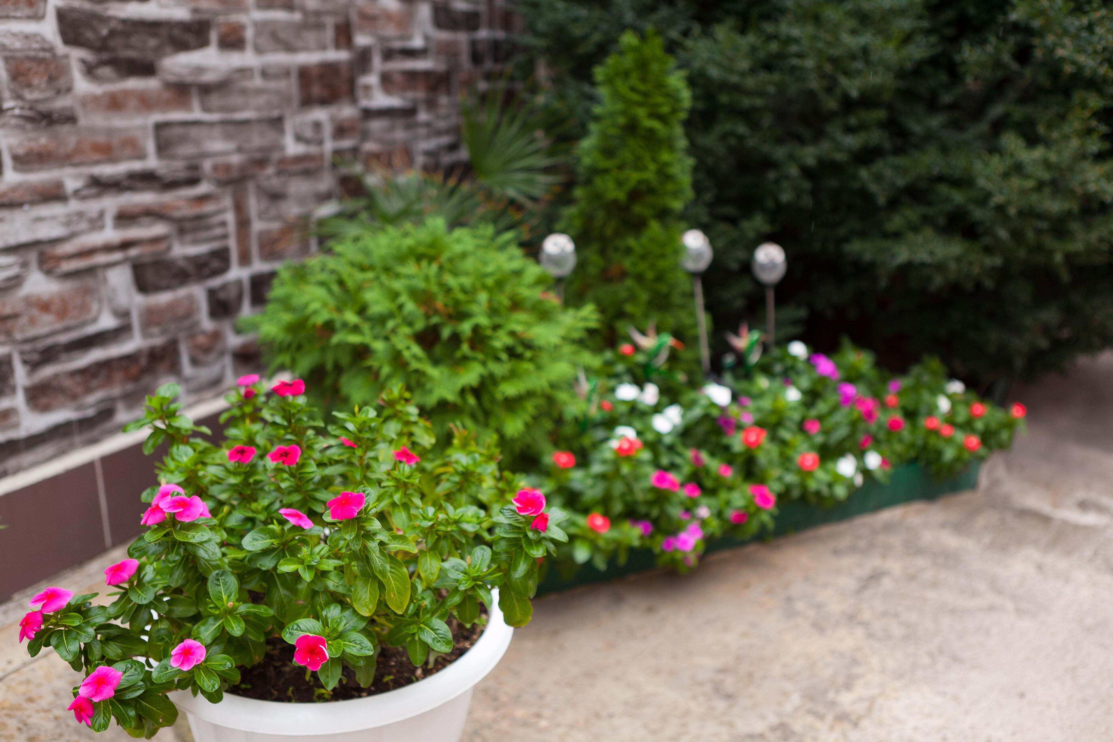 Фото Тизори