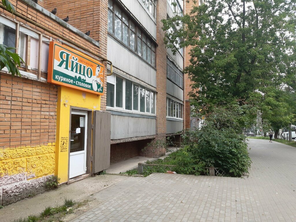 Egg and poultry meat Яйцо, Kaluga, photo