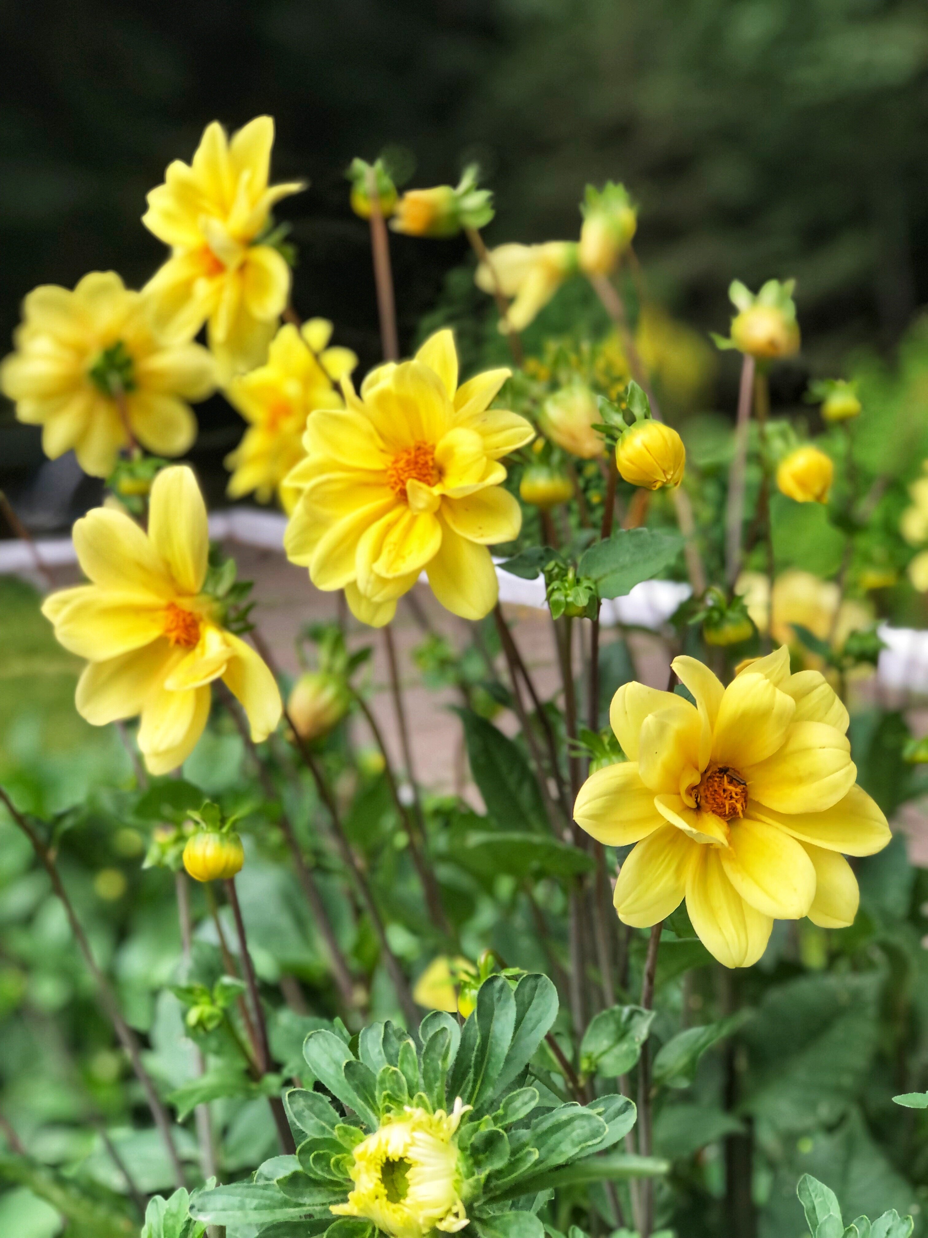 Фото Кырлай