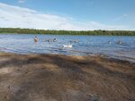 AmigoLand (Leningrad Region, Vyborgskiy District, Primorskoye gorodskoye poseleniye, derevnya Aleksandrovka), cámping