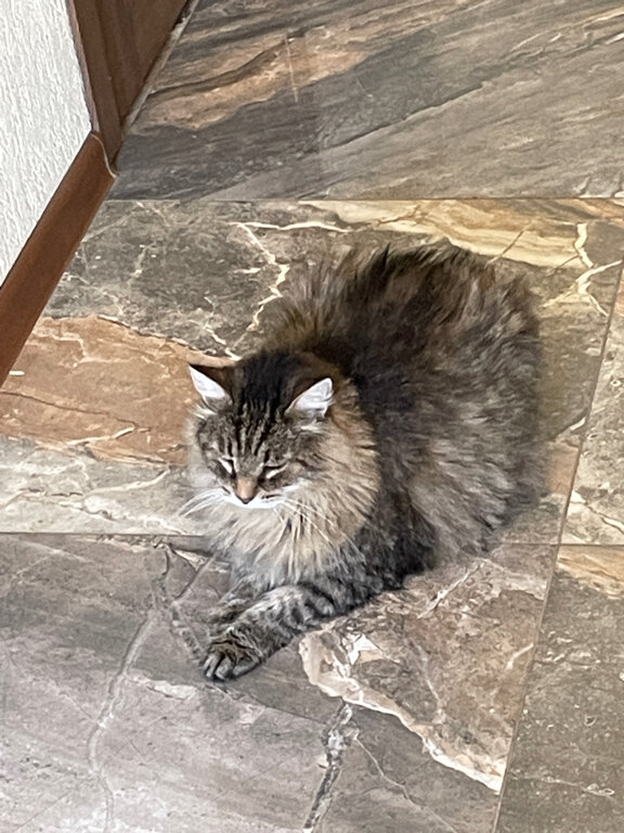 Фото Берлога