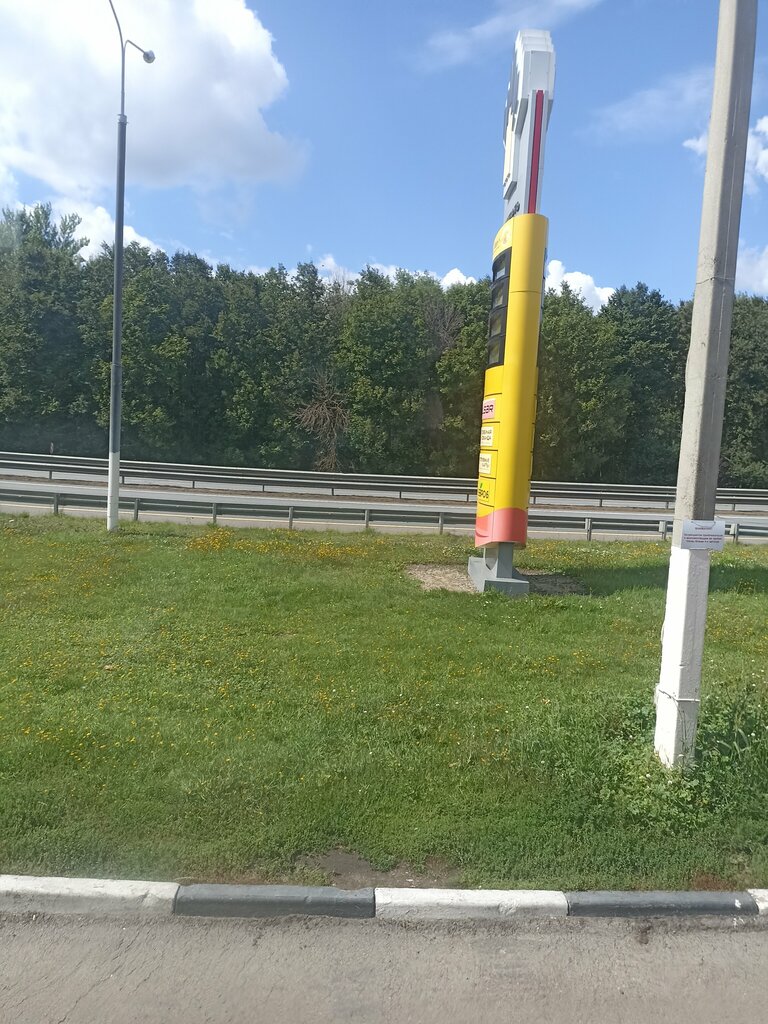 Gas station Rosneft, Tula Oblast, photo