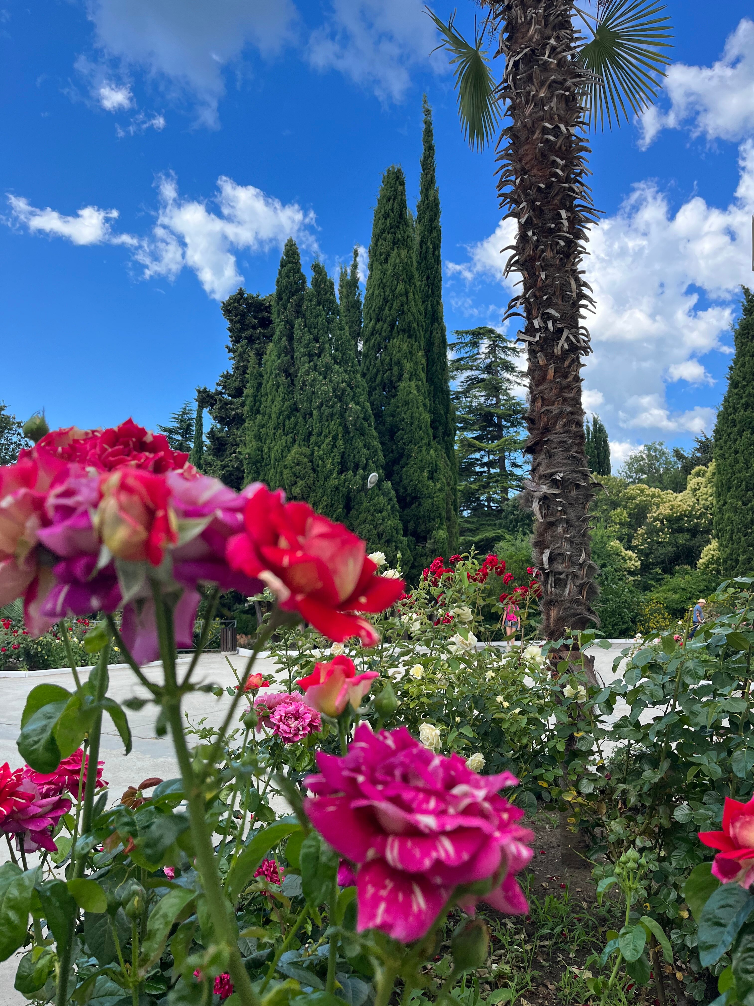 Фото Белоруссия