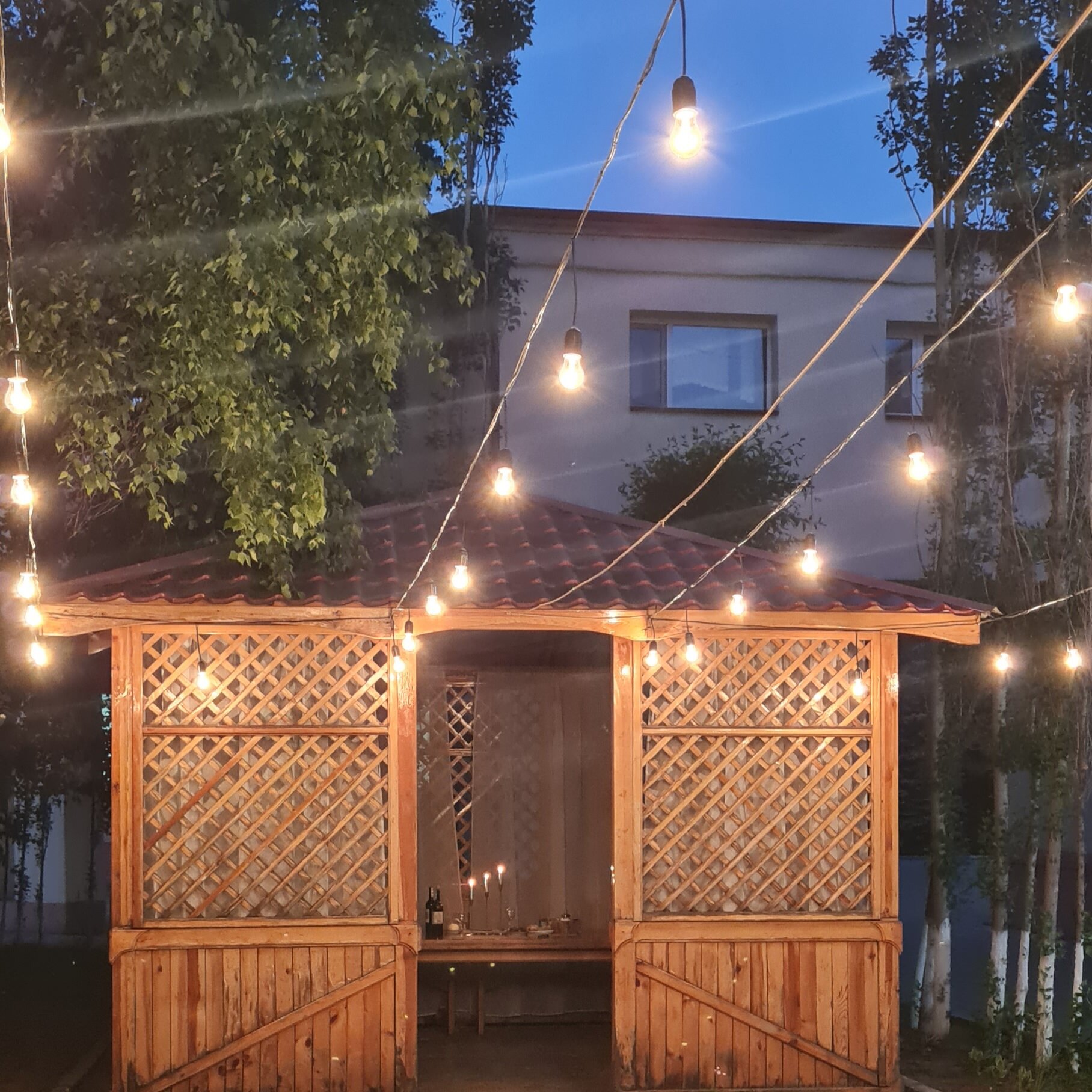 Фото Амилия