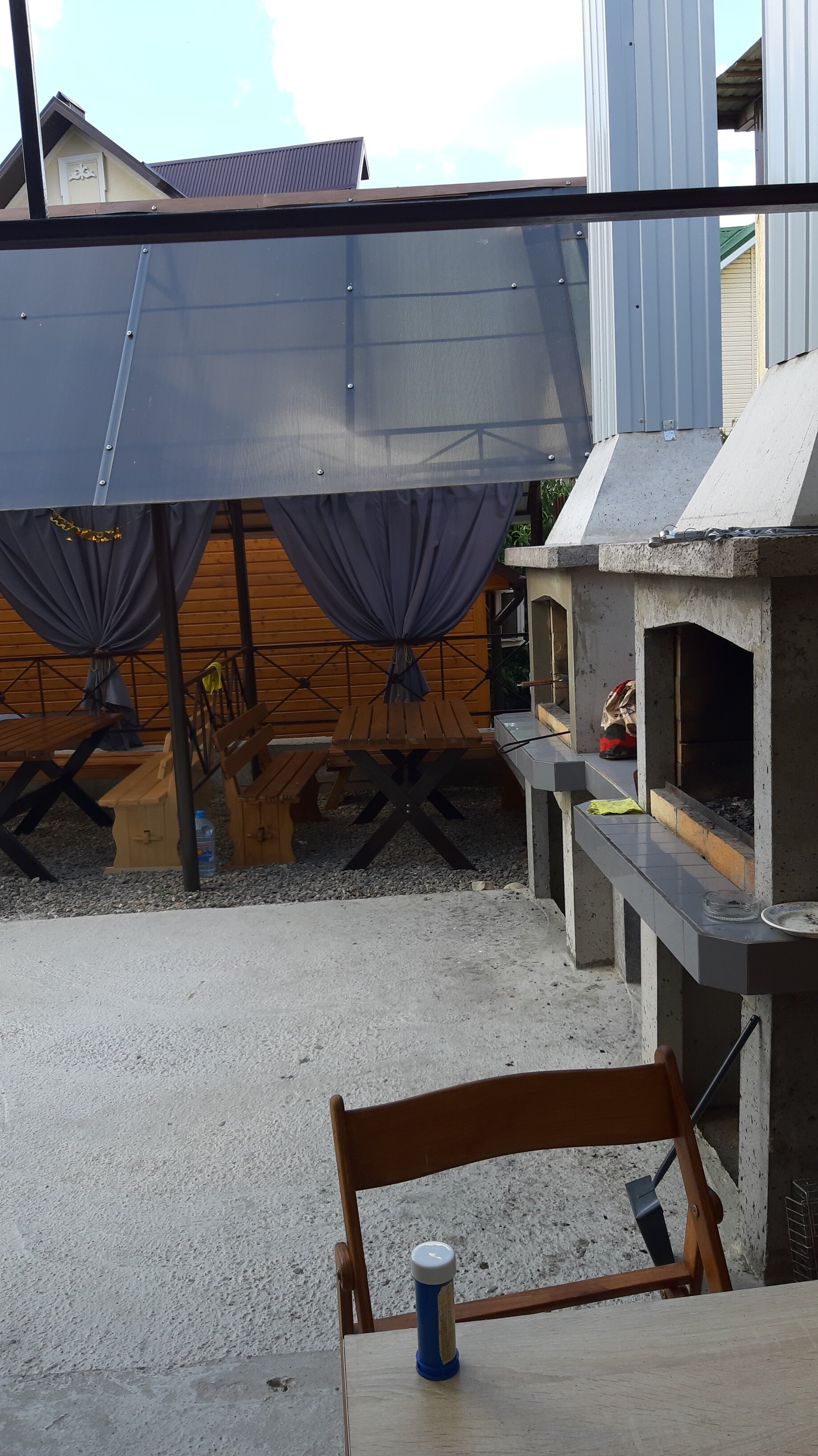 Фото Дельфин