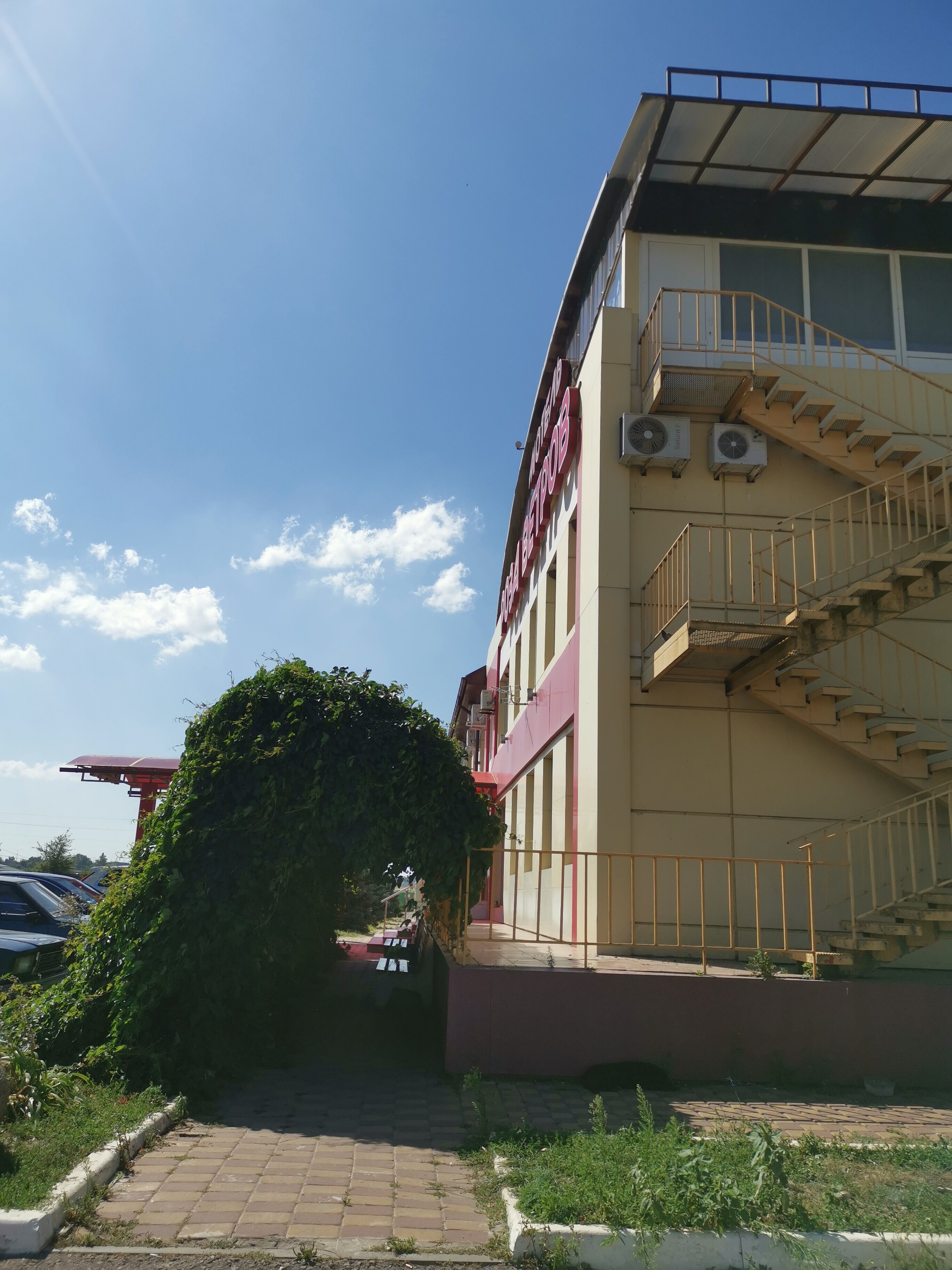 Фото Роза Ветров