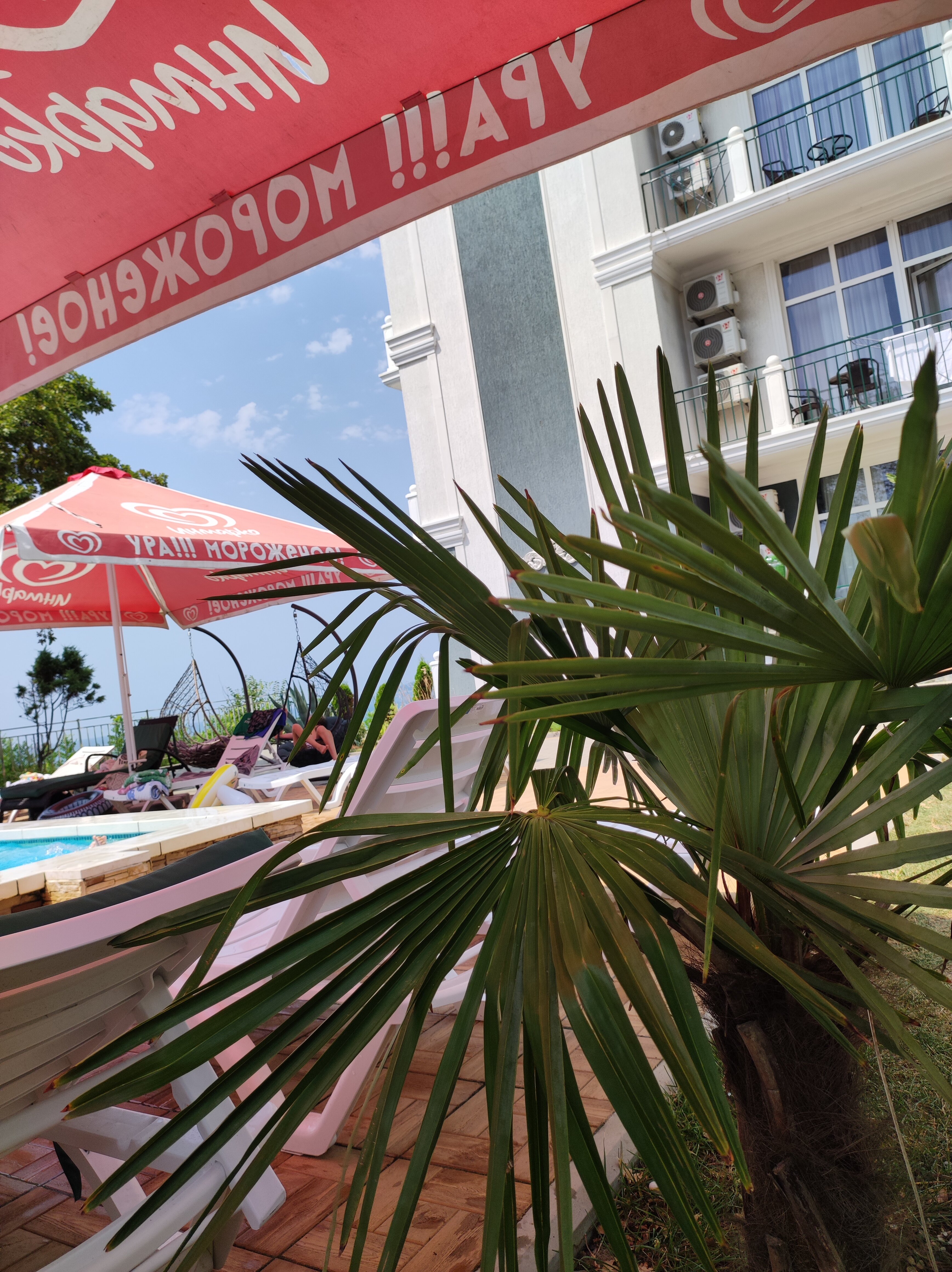 Фото Мироген